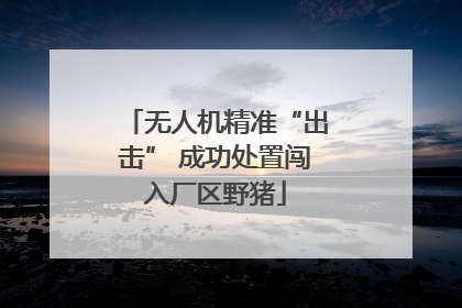 无人机精准“出击” 成功处置闯入厂区野猪