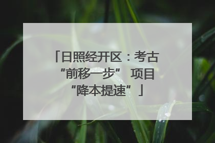 日照经开区：考古“前移一步” 项目“降本提速”