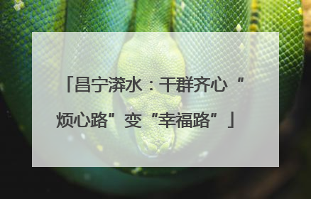 昌宁漭水：干群齐心“烦心路”变“幸福路”