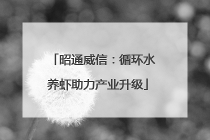 昭通威信：循环水养虾助力产业升级
