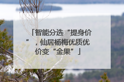 智能分选“提身价”，仙居杨梅优质优价变“金果”