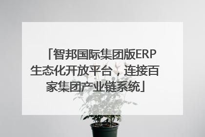 智邦国际集团版ERP生态化开放平台，连接百家集团产业链系统