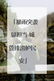 暴雨突袭显担当 城管排涝护民安