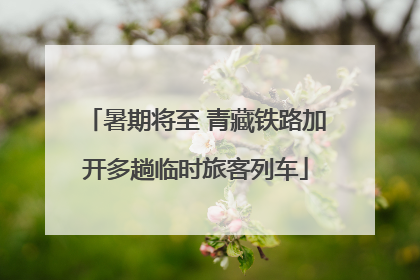 暑期将至 青藏铁路加开多趟临时旅客列车