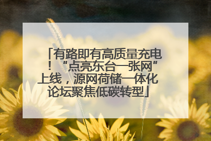 有路即有高质量充电！“点亮东台一张网”上线，源网荷储一体化论坛聚焦低碳转型