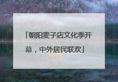朝阳麦子店文化季开幕，中外居民联欢