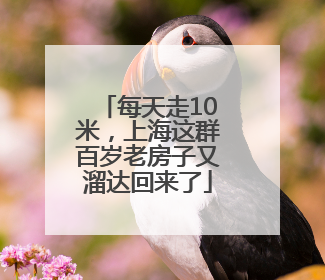 每天走10米，上海这群百岁老房子又溜达回来了