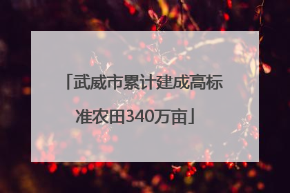 武威市累计建成高标准农田340万亩
