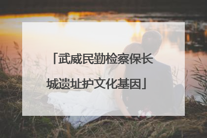 武威民勤检察保长城遗址护文化基因
