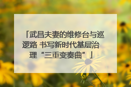 武昌夫妻的维修台与巡逻路 书写新时代基层治理“三重变奏曲”