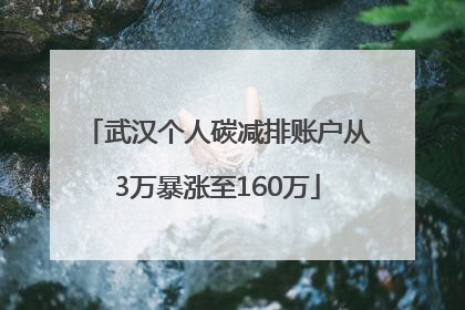 武汉个人碳减排账户从3万暴涨至160万