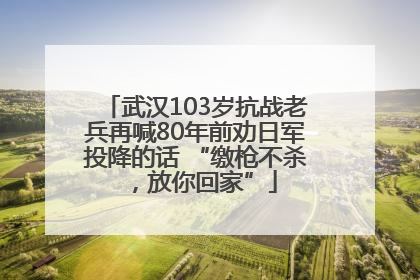 武汉103岁抗战老兵再喊80年前劝日军投降的话 “缴枪不杀，放你回家”