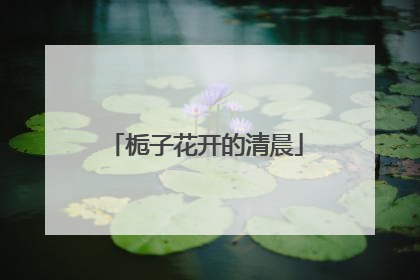 栀子花开的清晨