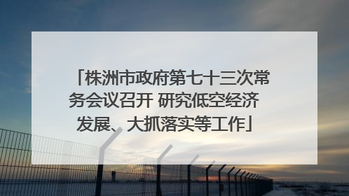 株洲市政府第七十三次常务会议召开 研究低空经济发展、大抓落实等工作