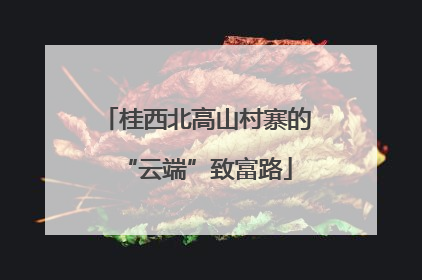 桂西北高山村寨的“云端”致富路