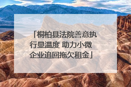 桐柏县法院善意执行显温度 助力小微企业追回拖欠租金