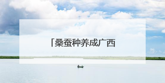 桑蚕种养成广西柳州柳江区民众增收致富特色产业
