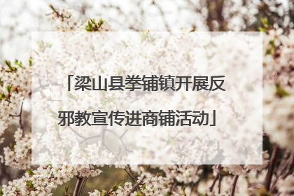 梁山县拳铺镇开展反邪教宣传进商铺活动