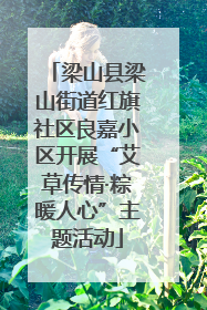 梁山县梁山街道红旗社区良嘉小区开展“艾草传情·粽暖人心”主题活动