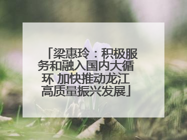 梁惠玲：积极服务和融入国内大循环 加快推动龙江高质量振兴发展