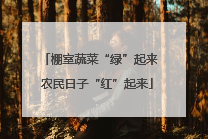 棚室蔬菜“绿”起来 农民日子“红”起来