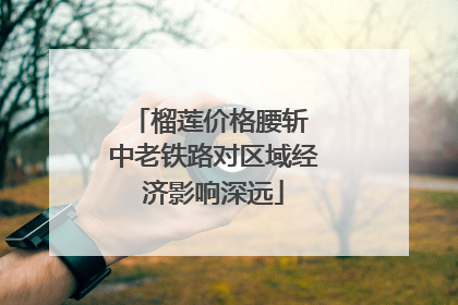 榴莲价格腰斩 中老铁路对区域经济影响深远