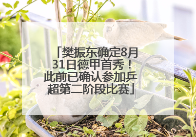 樊振东确定8月31日德甲首秀！此前已确认参加乒超第二阶段比赛