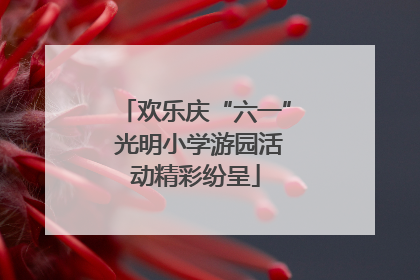 欢乐庆“六一” 光明小学游园活动精彩纷呈