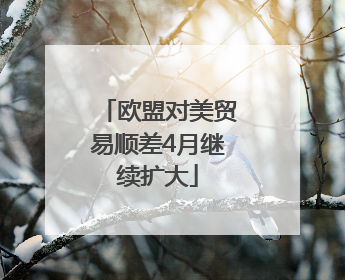 欧盟对美贸易顺差4月继续扩大