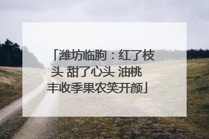 潍坊临朐：红了枝头 甜了心头 油桃丰收季果农笑开颜