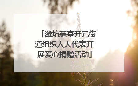 潍坊寒亭开元街道组织人大代表开展爱心捐赠活动