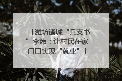 潍坊诸城“兵支书”李炜：让村民在家门口实现“就业”