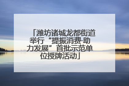 潍坊诸城龙都街道举行“提振消费·助力发展”首批示范单位授牌活动