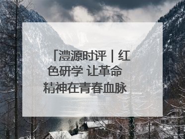 澧源时评｜红色研学 让革命精神在青春血脉中永续传承