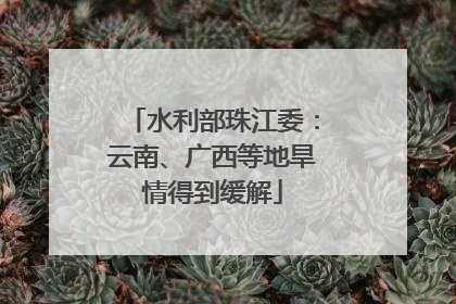水利部珠江委：云南、广西等地旱情得到缓解