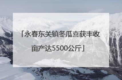 永春东关镇冬瓜喜获丰收 亩产达5500公斤