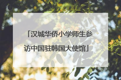 汉城华侨小学师生参访中国驻韩国大使馆