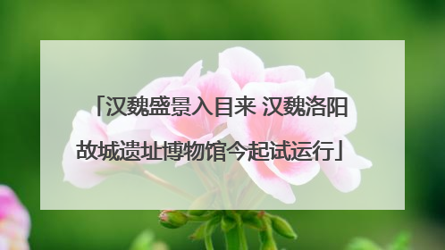汉魏盛景入目来 汉魏洛阳故城遗址博物馆今起试运行