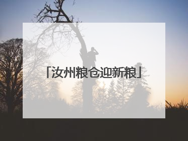 汝州粮仓迎新粮
