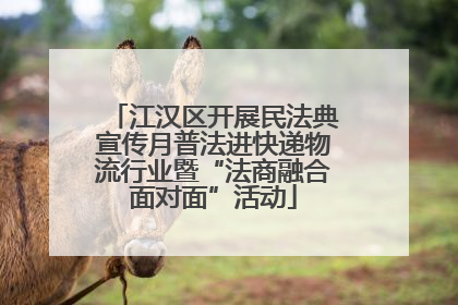 江汉区开展民法典宣传月普法进快递物流行业暨“法商融合面对面”活动