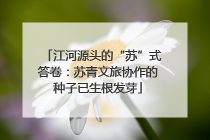 江河源头的“苏”式答卷：苏青文旅协作的种子已生根发芽