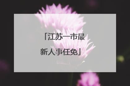 江苏一市最新人事任免