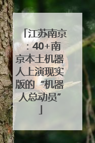 江苏南京：40+南京本土机器人上演现实版的“机器人总动员”