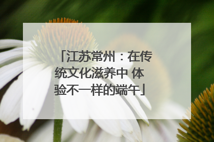 江苏常州：在传统文化滋养中 体验不一样的端午