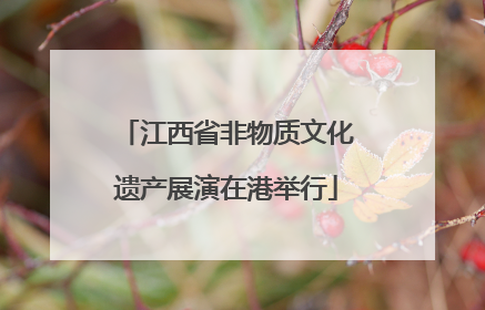 江西省非物质文化遗产展演在港举行