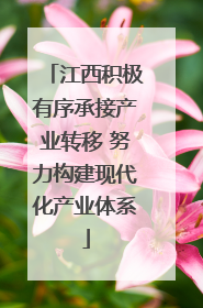 江西积极有序承接产业转移 努力构建现代化产业体系