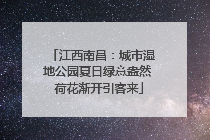 江西南昌：城市湿地公园夏日绿意盎然 荷花渐开引客来
