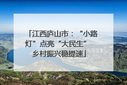 江西庐山市：“小路灯”点亮“大民生” 乡村振兴稳提速