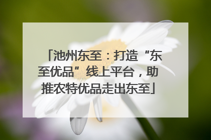 池州东至：打造“东至优品”线上平台，助推农特优品走出东至