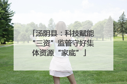 汤阴县：科技赋能“三资”监管守好集体资源“家底”